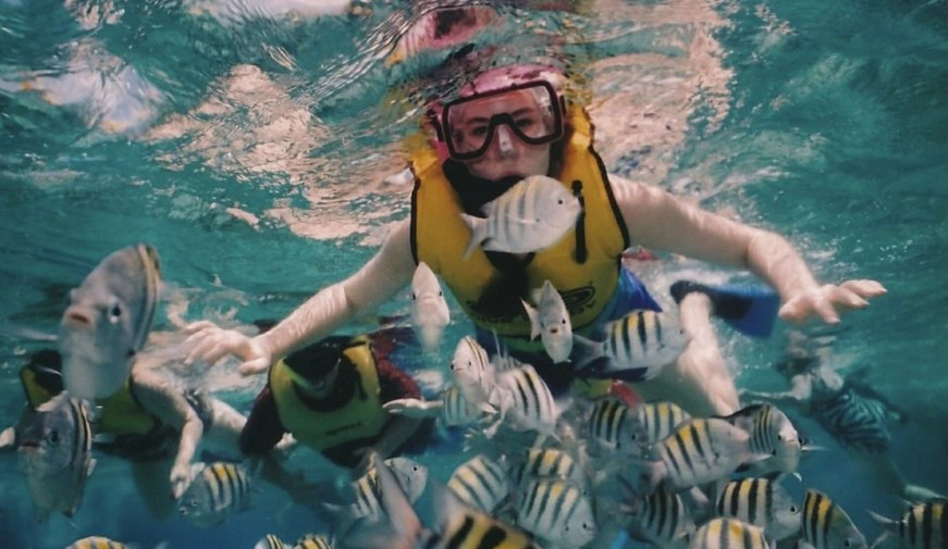 Snorkeling